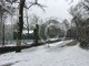 IMG_0165.jpg