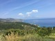 IMG_0900.jpg