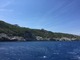 IMG_0917.jpg