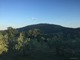 IMG_1011.jpg